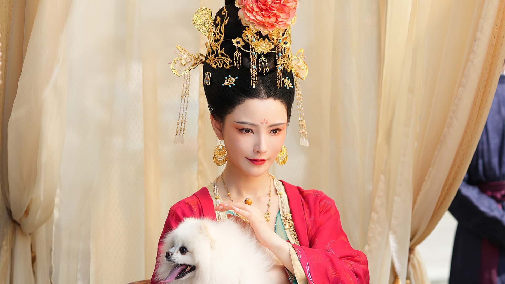 视觉数据2